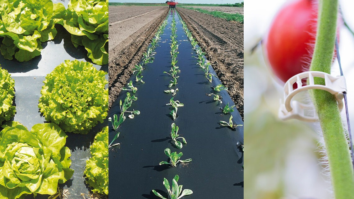 NOVAMONT PARTNER COIAL